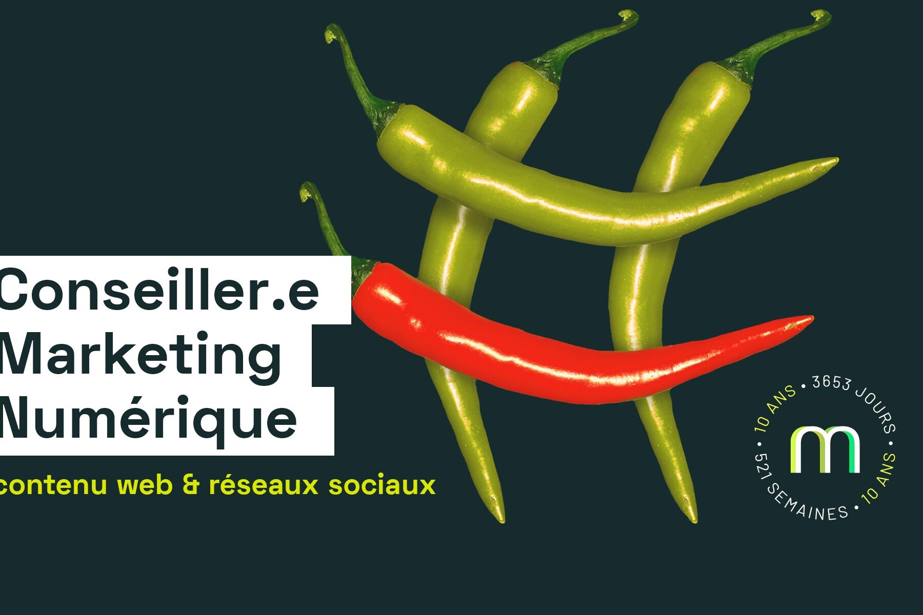 EMPLOI MARKETING