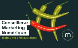 EMPLOI MARKETING